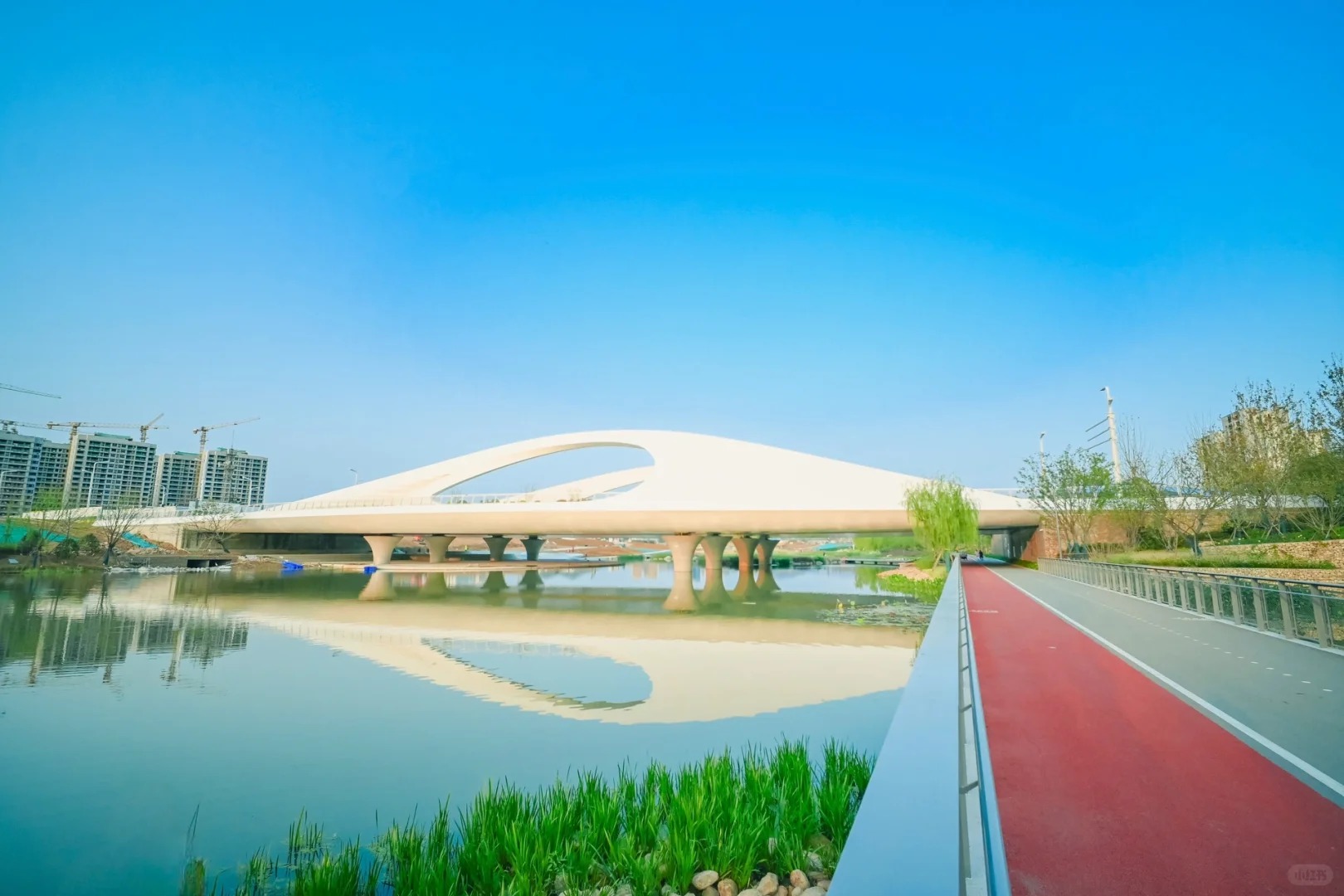 青島張村河生態(tài)公園 | 置身自然秘境，做綠色童年的探尋者