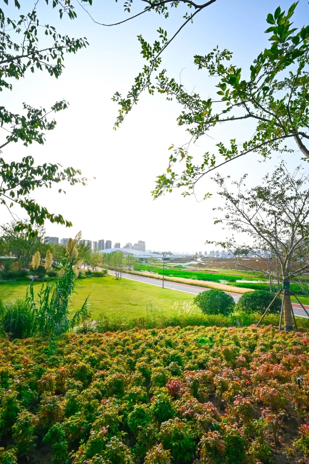 青島張村河生態(tài)公園 | 置身自然秘境，做綠色童年的探尋者